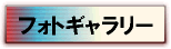 tHgM[